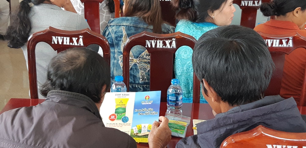 dam xanh ca mau bon hieu qua tren cay ca phe tai dak lak