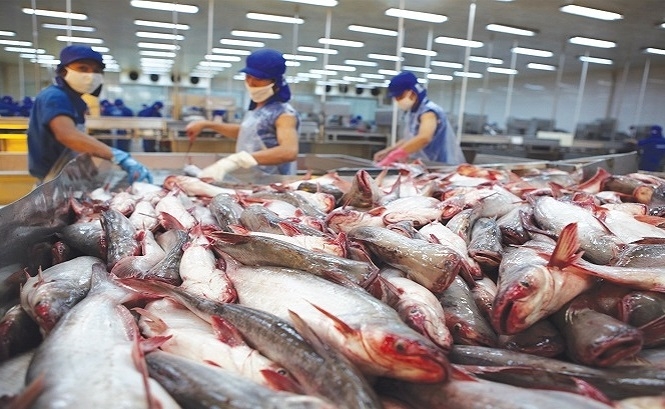 xuat khau ca tra sang malaysia tang 25