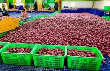 hoi nghi bo truong kinh te asean nhat ban dac biet ve ung pho dai dich covid 19