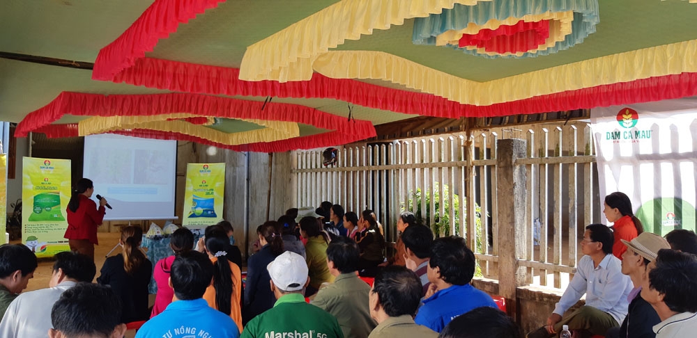 dam den ca mau giup cay tieu dat nang suat 7 tan hatha
