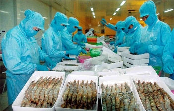 Xuất khẩu thủy sản cả năm 2019 dự báo đạt 8,9 tỷ USD
