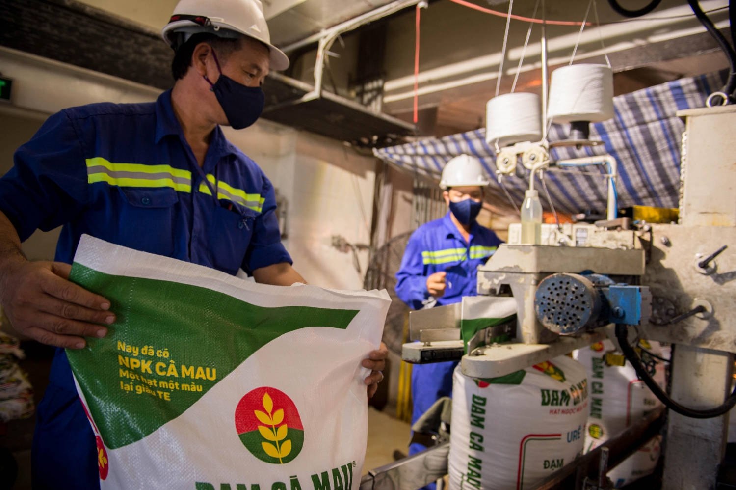 pvcfc duoc vinh danh trong top 100 doanh nghiep ben vung viet nam 2019