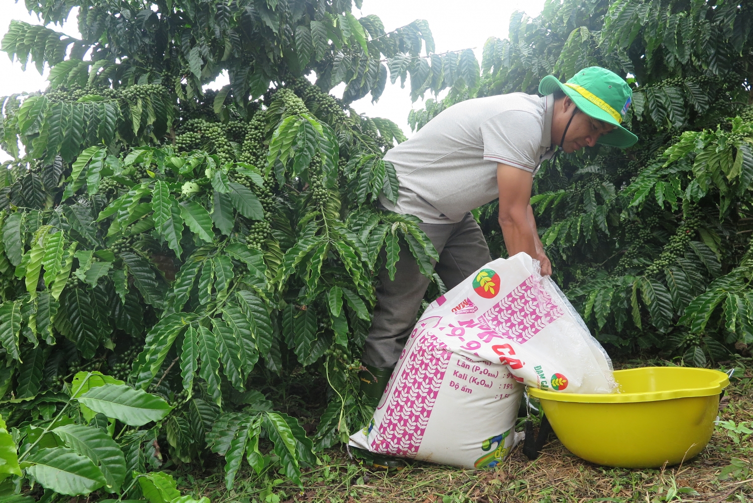 pvcfc duoc vinh danh trong top 100 doanh nghiep ben vung viet nam 2019