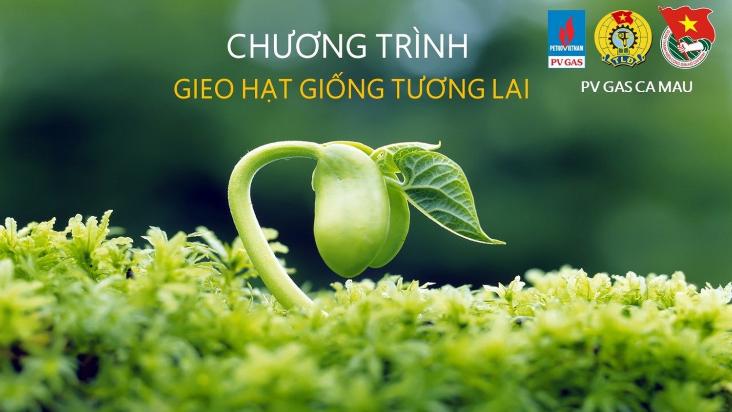 kcm trao hoc bong cho sinh vien trong chuong trinh gieo hat giong tuong lai nam 2019