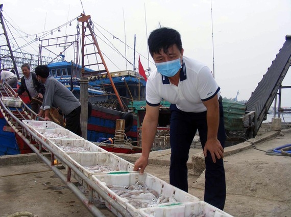 Nghệ An: “Đầu tàu” làng biển