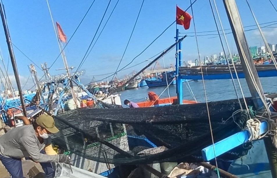 Niềm vui được mùa, được giá các chuyến biển từ Trường Sa trở về