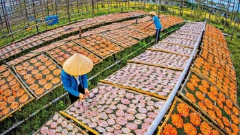 Cà Mau: Khát vọng biển Tây