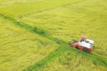 Chính sách mới về nhân sự, việc làm, tài chính có hiệu lực từ tháng 2/2023