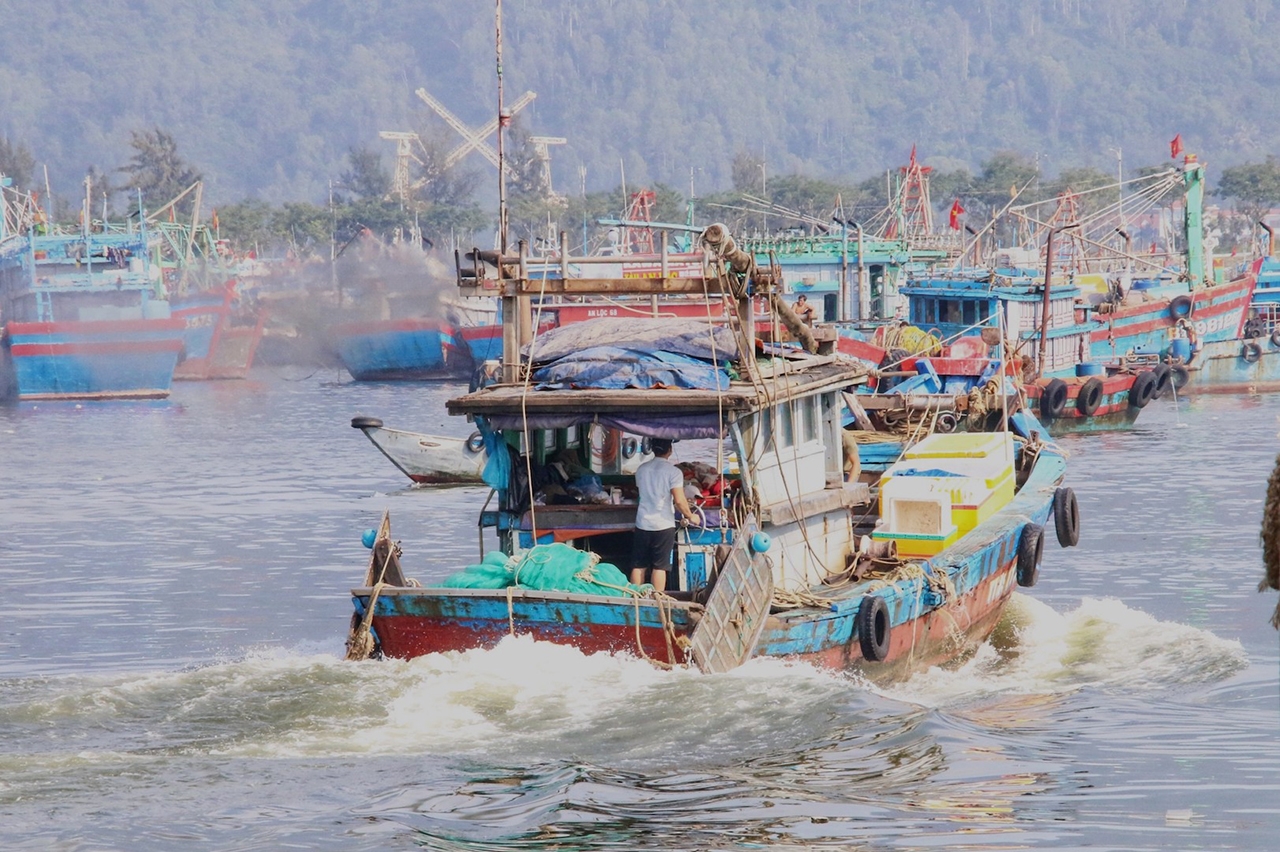 Lộc biển cuối năm của ngư dân miền Trung