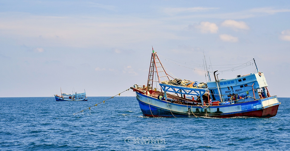 Cà Mau: Khát vọng từ biển (Bài 1)