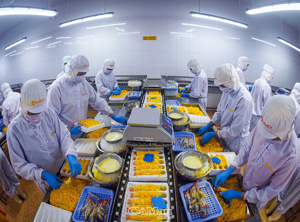 Cà Mau: Khát vọng từ biển - Bài 3: Tự hào vươn khơi Cà Mau: Khát vọng từ biển - Bài 3: Tự hào vươn khơi