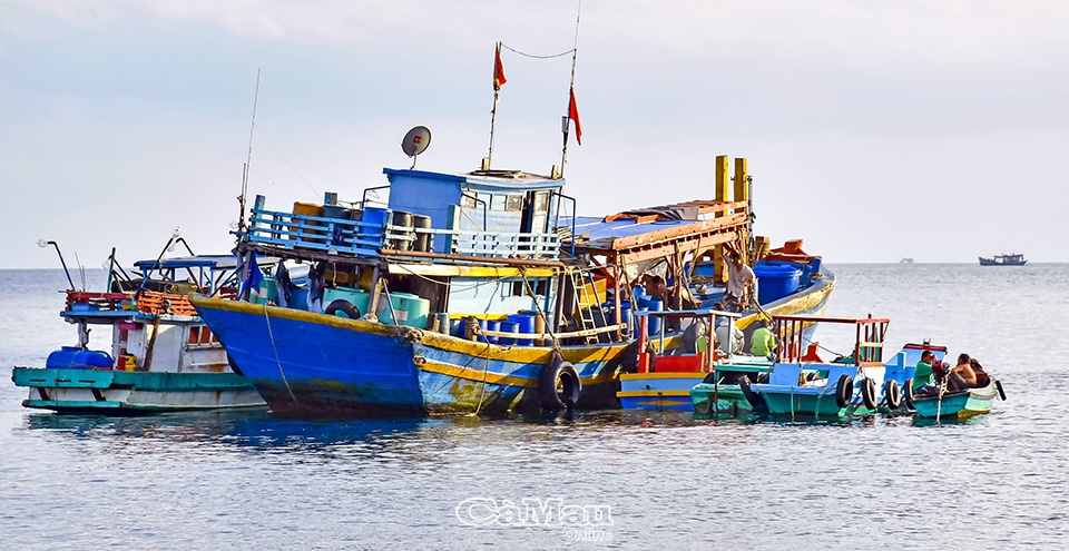 Cà Mau: Khát vọng từ biển - Bài 3: Tự hào vươn khơi Cà Mau: Khát vọng từ biển - Bài 3: Tự hào vươn khơi