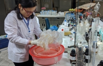 Nâng cao giá trị kinh tế của nguồn lợi sứa biển