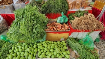 Đưa nông sản lên sàn thương mại điện tử Postmart.vn và Agri-postmart.vn