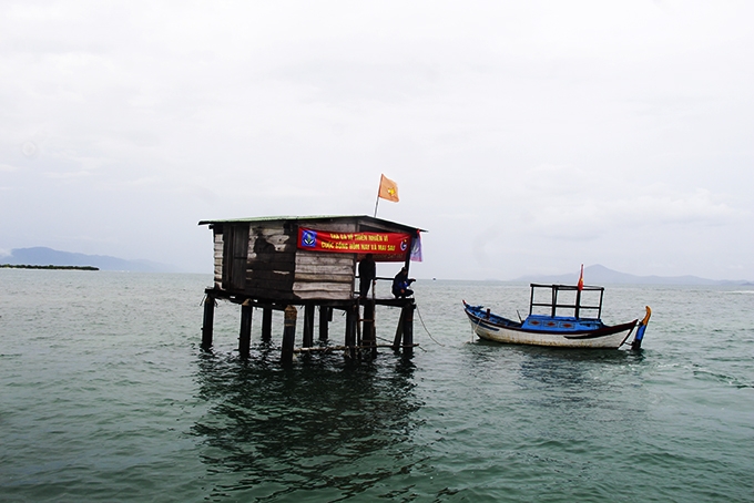 Vùng biển Rạn Trào: Hệ sinh thái phục hồi mạnh mẽ