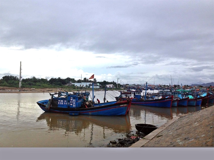 Nhiều địa phương không có tàu cá vi phạm vùng biển nước ngoài khai thác thủy sản