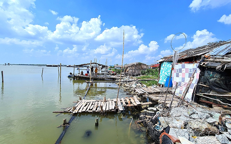 Đê biển Cà Mau lún dần xuống biển
