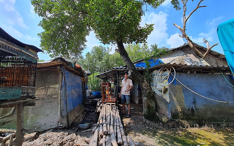 Đê biển Cà Mau lún dần xuống biển