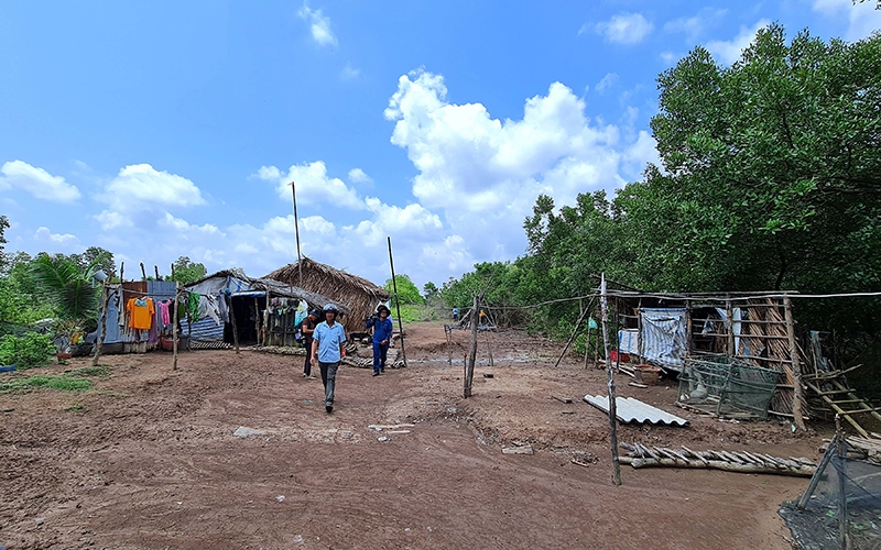 Đê biển Cà Mau lún dần xuống biển