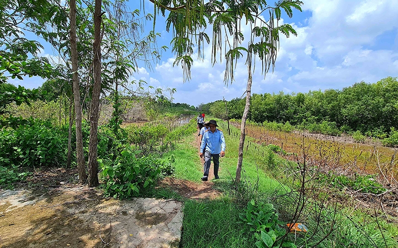 Đê biển Cà Mau lún dần xuống biển