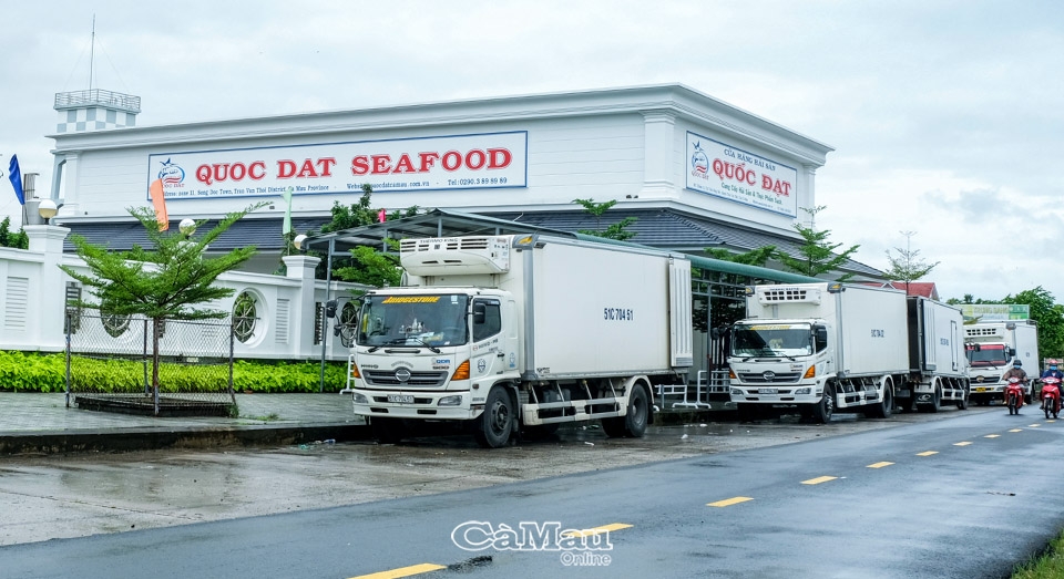 Cà Mau: Tạo động lực phát triển đô thị ven biển - Bài cuối: Hướng tới phát triển “xanh”
