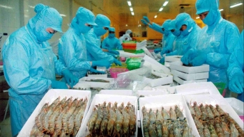 Tận dụng Hiệp định RCEP, xuất khẩu thủy sản sang Australia dự báo tăng mạnh