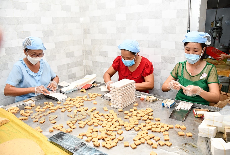 Bến Tre: Kinh tế dần phục hồi và phát triển