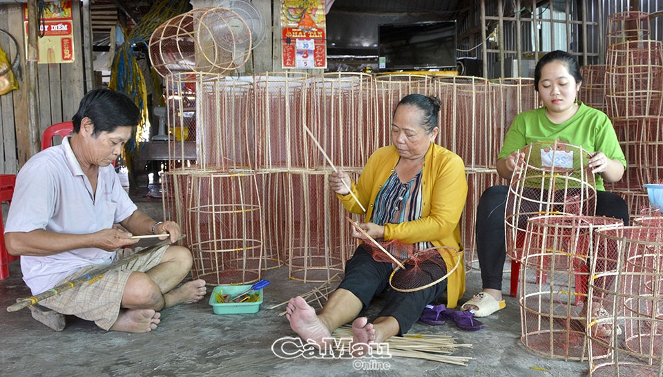 Cà Mau: Biển Bạch khát nước sạch