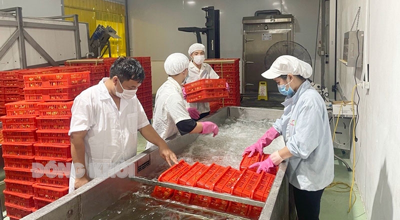 Bến Tre: Tập trung phát triển công nghiệp chủ lực