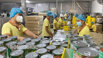 Bến Tre: Tập trung phát triển công nghiệp chủ lực