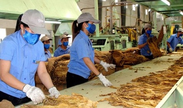 Đề xuất hạn ngạch thuế quan nhập khẩu thuốc lá nguyên liệu, trứng gia cầm