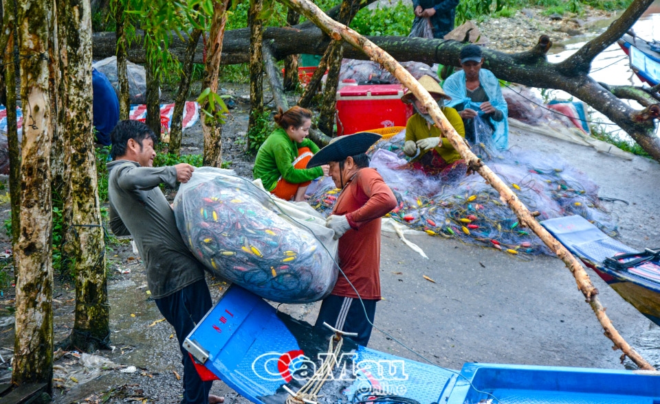 Cà Mau: Áp lực thiên tai từ Tây sang Đông - Bài 2: Chông chênh đời sống ven biển