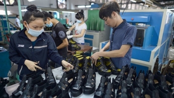 Tìm nguồn nguyên phụ liệu cho ngành da giày