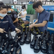 Tìm nguồn nguyên phụ liệu cho ngành da giày Tìm nguồn nguyên phụ liệu cho ngành da giày