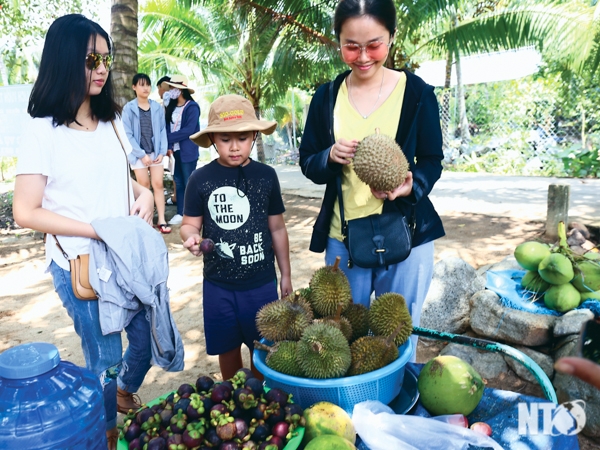 Đến với cảnh đẹp Ninh Sơn