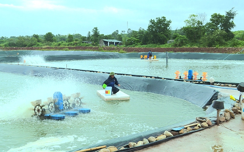 Khai thác lợi thế biển để nuôi trồng thủy sản