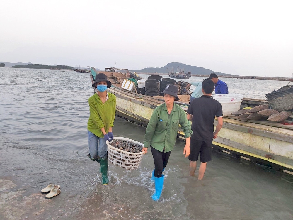 Khai thác lợi thế biển để nuôi trồng thủy sản