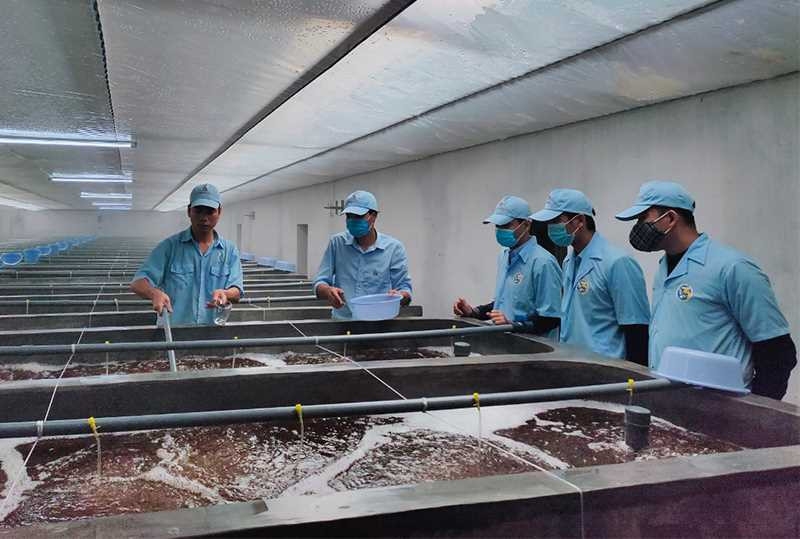 Khai thác lợi thế biển để nuôi trồng thủy sản