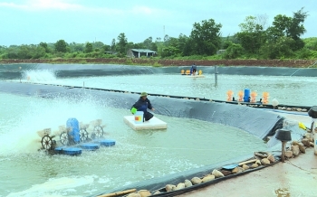 Khai thác lợi thế biển để nuôi trồng thủy sản