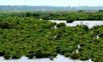 Cần chú trọng bảo vệ môi trường biển