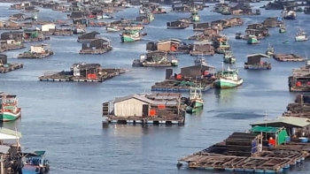 Phê duyệt Đề án phát triển nuôi trồng thuỷ sản trên biển đến năm 2030, tầm nhìn đến 2045