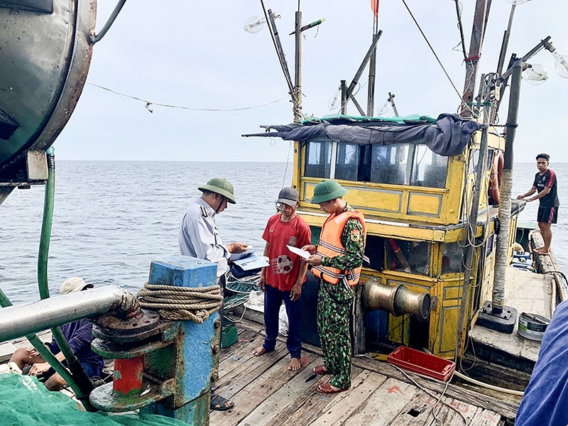 Quảng Trị: Khẩn trương thực hiện các giải pháp chống khai thác IUU