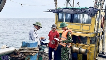 Quảng Trị: Khẩn trương thực hiện các giải pháp chống khai thác IUU