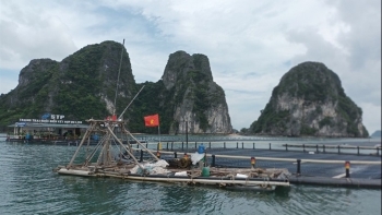 Lấy công nghệ làm đột phá lớn trong nuôi biển