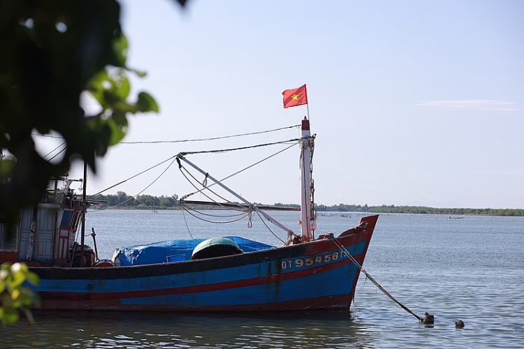 Để vùng biển lại căng tràn sức sống
