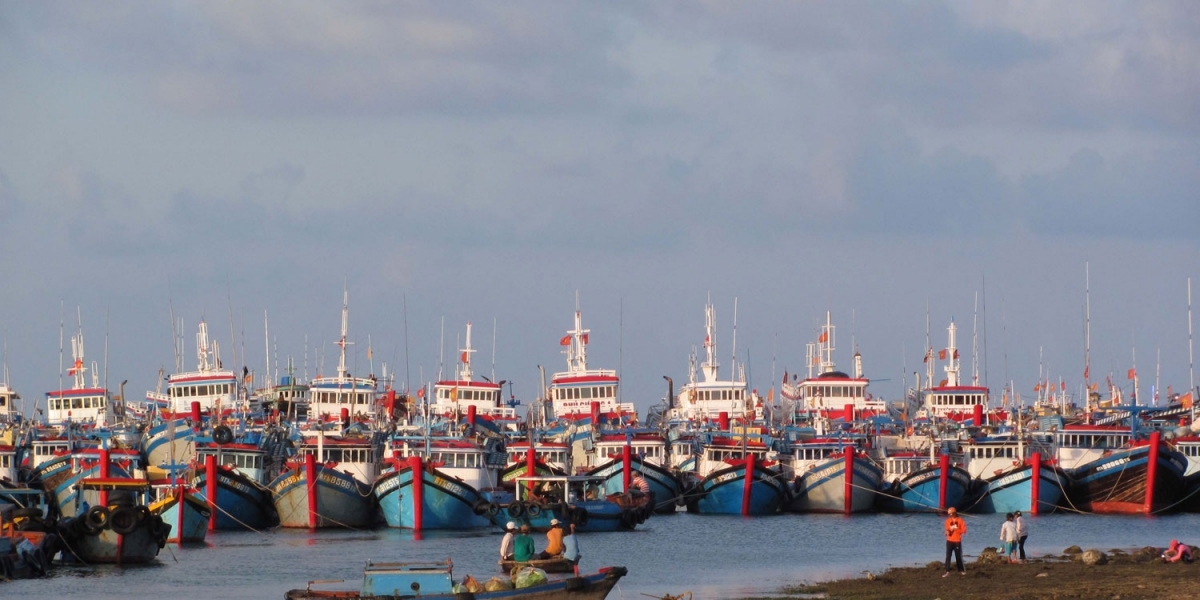 Ngư dân yên tâm bám biển nhờ 