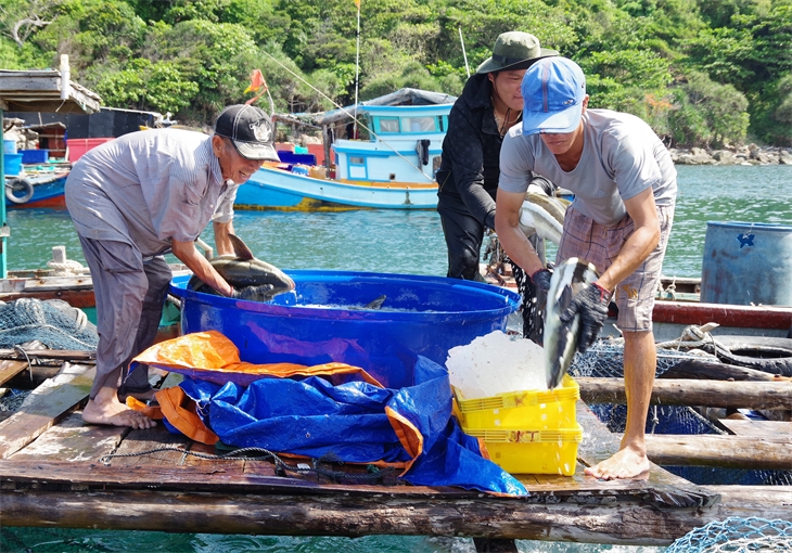 Việt Nam Bảo vệ môi trường biển