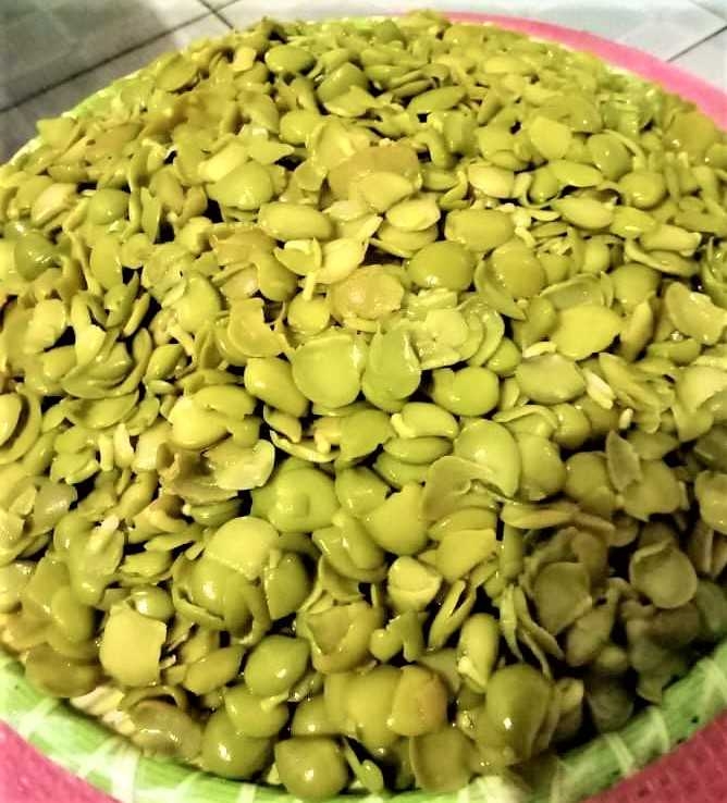 Lặn biển ngắm san hô Vịnh Hạ Long