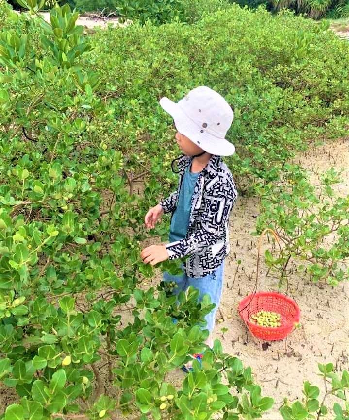 Lặn biển ngắm san hô Vịnh Hạ Long