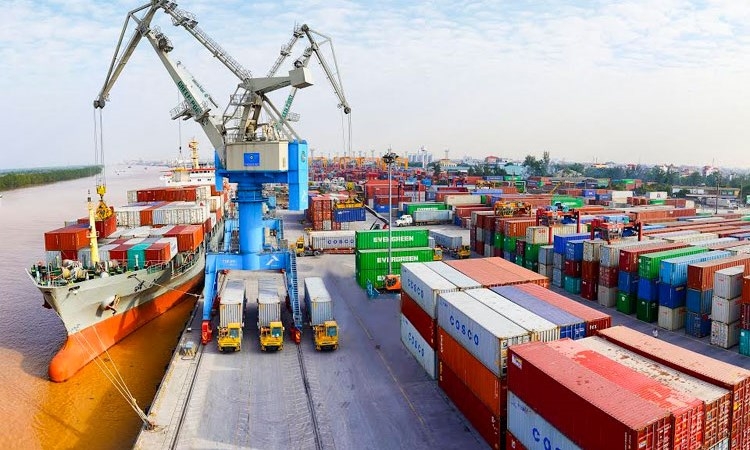 Triển khai phần mềm khai hải quan miễn phí cho doanh nghiệp